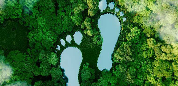 sustainable-news_580x280.jpg