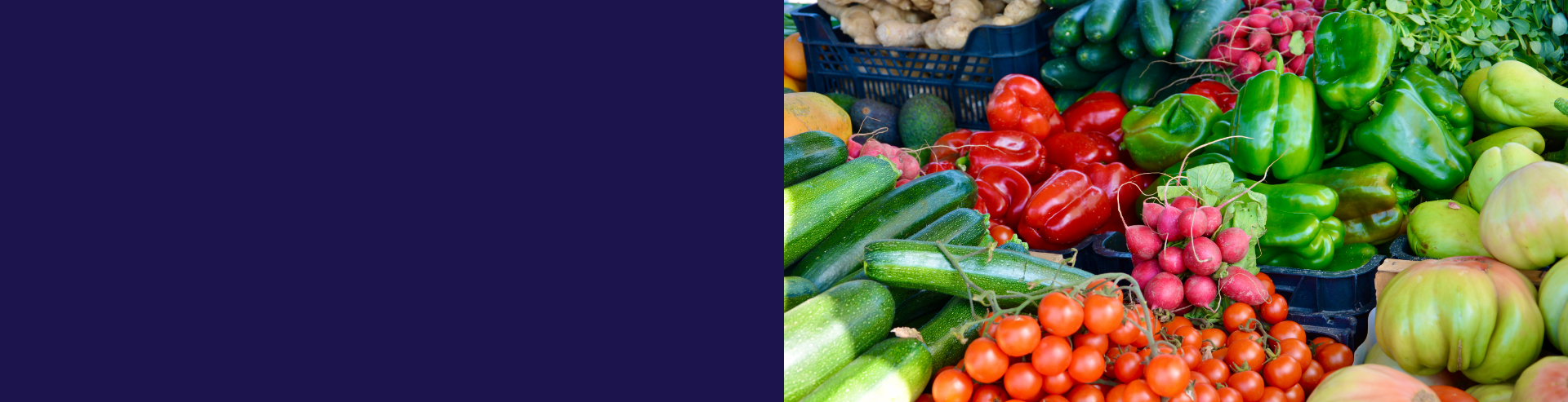 VEGGIE-1920X493PX.png