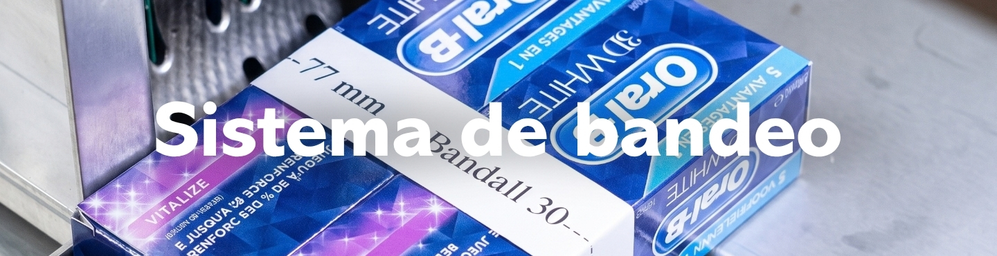 Banner_Codificacion_Sistema_bandeo.jpg (CHILE BANNERS WEB 1440X370PX - Banner_Codificacion_Sistema_bandeo)