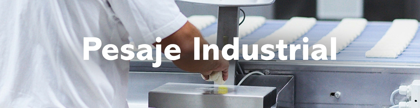 Banner_Pesaje_industrial.jpg (CHILE BANNERS WEB 1440X370PX - Banner_Pesaje_industrial)