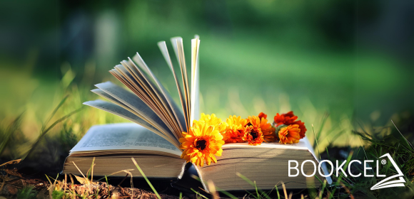 Bookcel.png