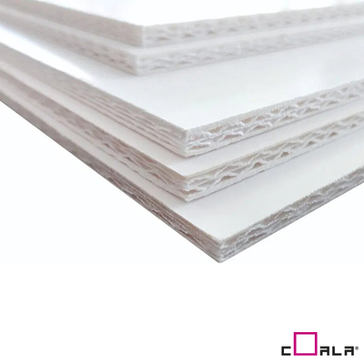 G00066 - ANTALIS CHILE