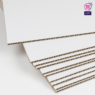 G00850 - ANTALIS CHILE