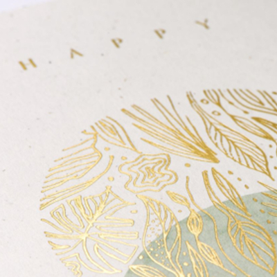 169670 - ANTALIS CHILE