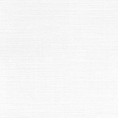 234000 - ANTALIS CHILE
