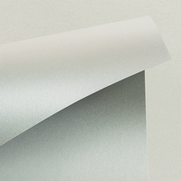 Curius Metalis_antalis chile