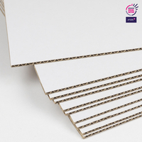 G00850 - ANTALIS CHILE