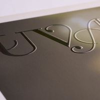 antalis chile
