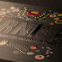 antalis chile