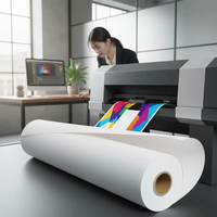 antalis chile