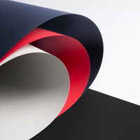 antalis chile