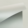 Curius Metalis_antalis chile