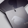antalis chile