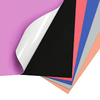 antalis chile