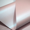 antalis chile