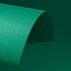 203360 - ANTALIS CHILE