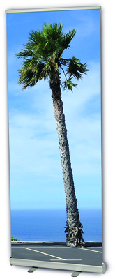 Roll-Up